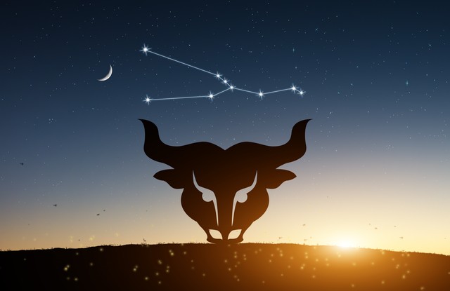 欧洲最精确的12星座分析,欧洲权威12星座分析