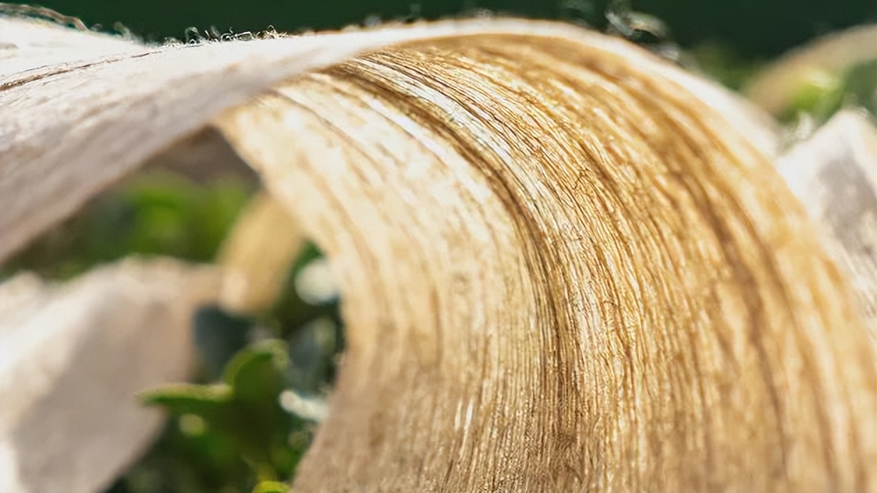 天然纤维有哪几种类型,新型天然纤维