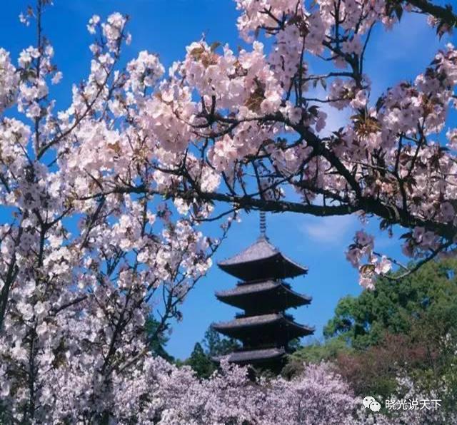 中日文化交流史导论,中日文化交流史视频