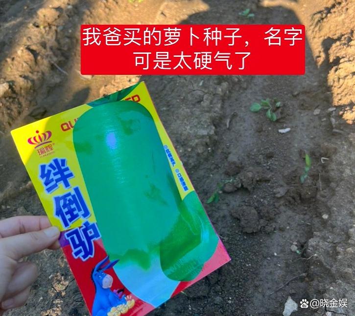 吴昕回老家过年跟谁一起的 (吴昕下乡种地)