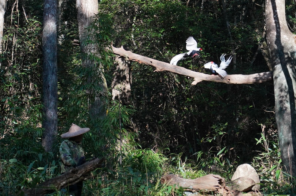 三明市乡村振兴,乡村文明建设丰富乡村文化生活