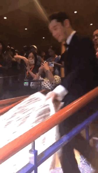 明星红毯假摔事件,明星红毯假摔倒抢镜