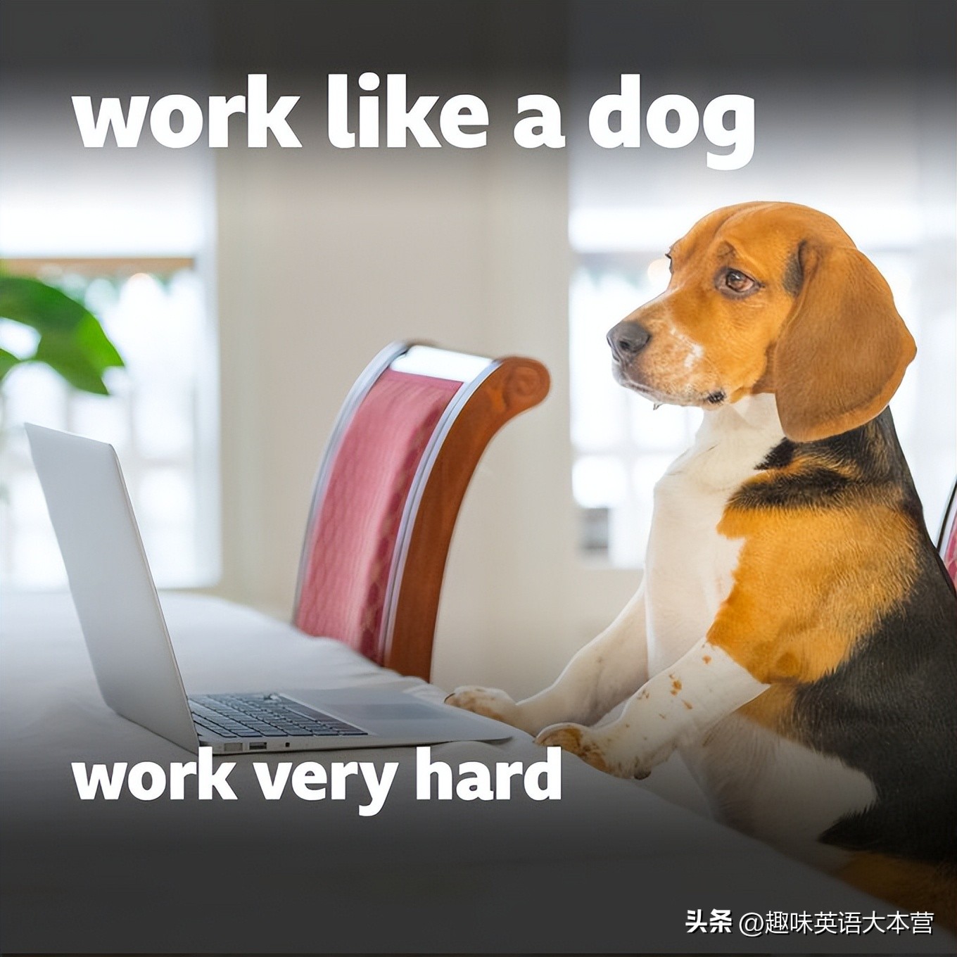 一周忙碌的学习生活英语,上班族每日英语推荐