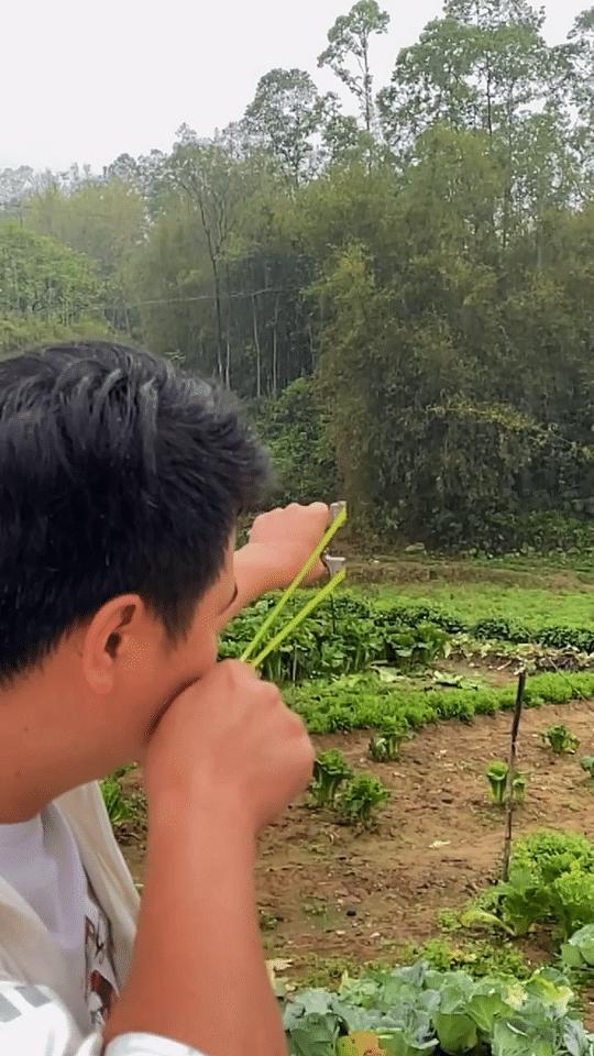 弹弓短拉中拉大拉各自的优缺点,弹弓哪个拉距初速快