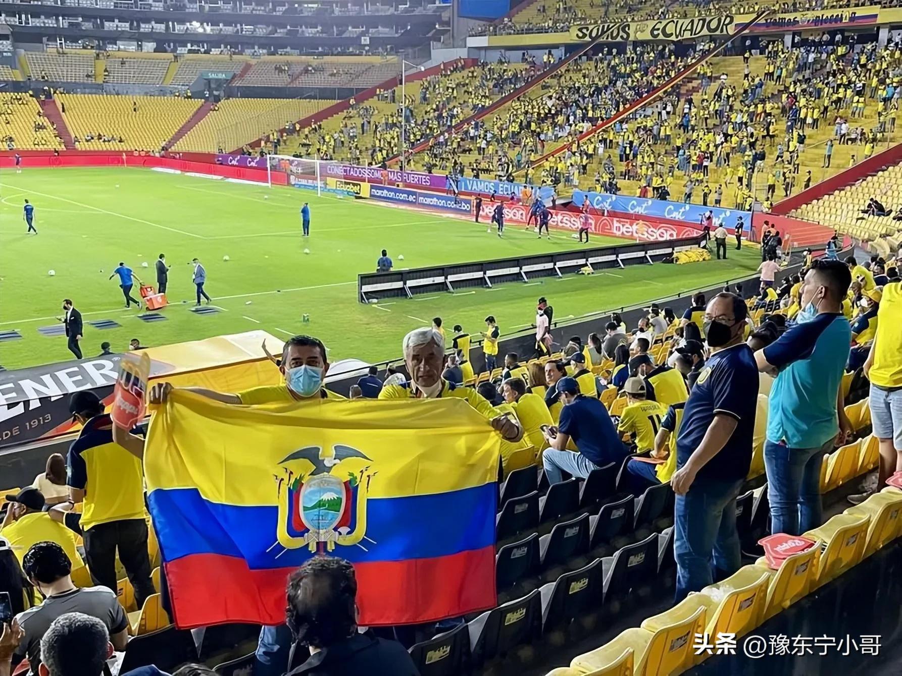 卡塔尔世界杯荷兰小组赛比分,卡塔尔世界杯a组出线形势