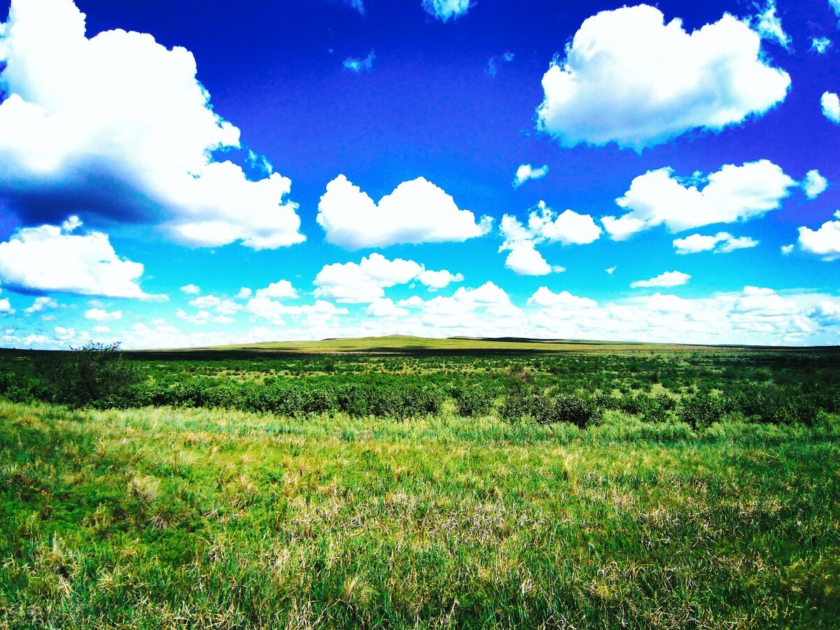 离离原上草一岁一枯荣的翻译,离离原上草一岁一枯荣诗句的意思