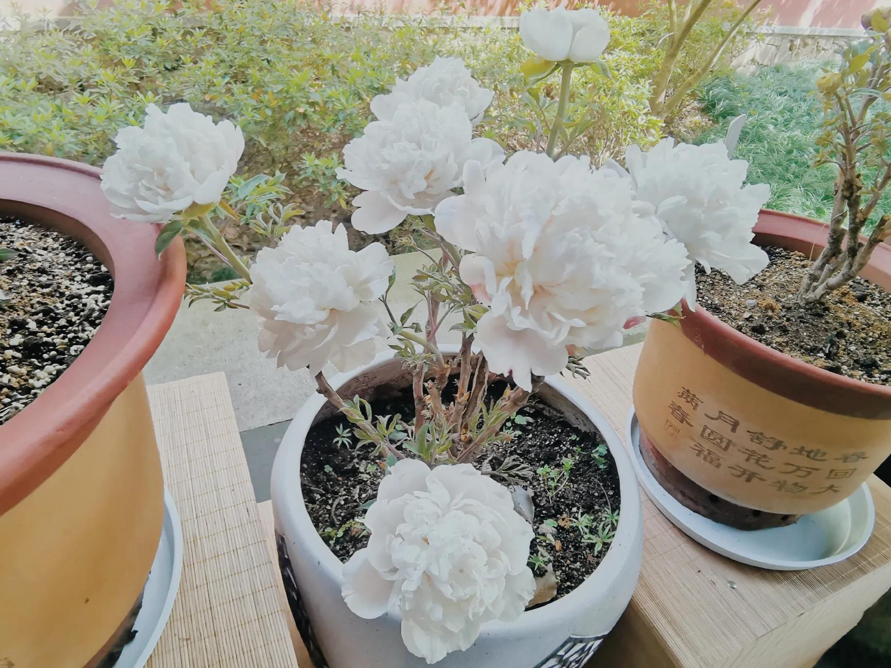 杭州西湖钱塘江大桥六和塔全景,推荐杭州西湖边值得一看的景点