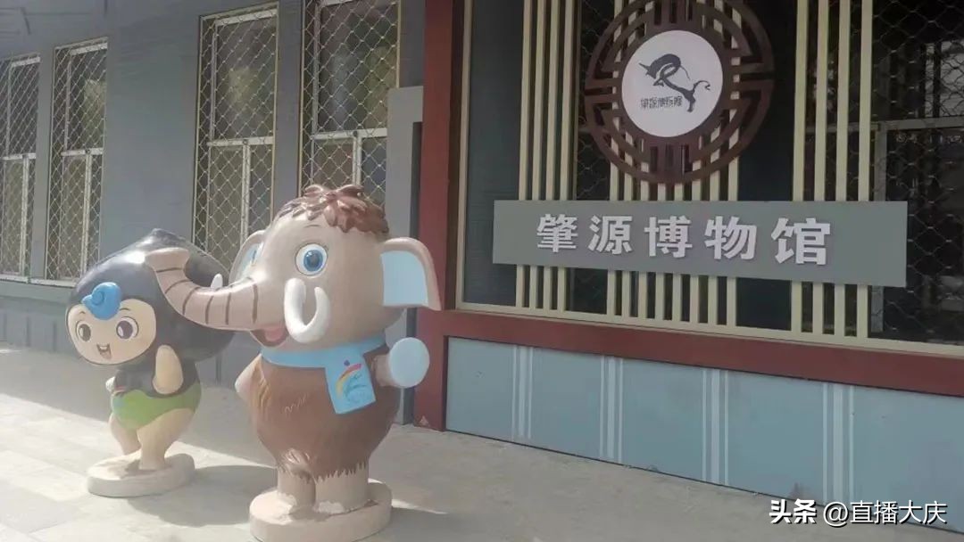 大庆体育场对外开放,大庆文体活动什么时候开放