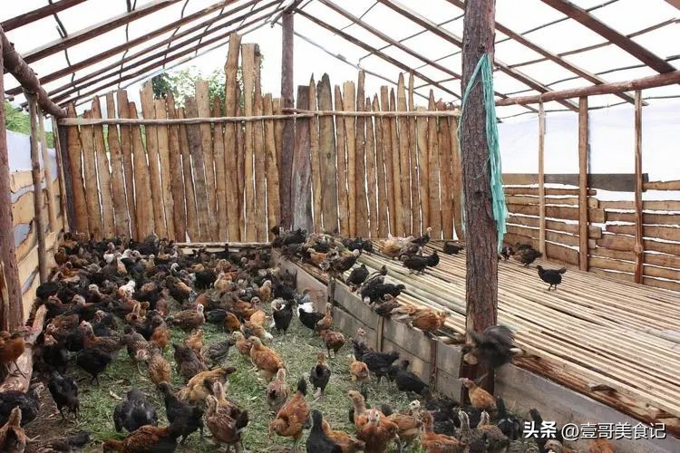 现在各超市卖的冻鸡腿,超市卖的冻鸡腿为什么那么嫩