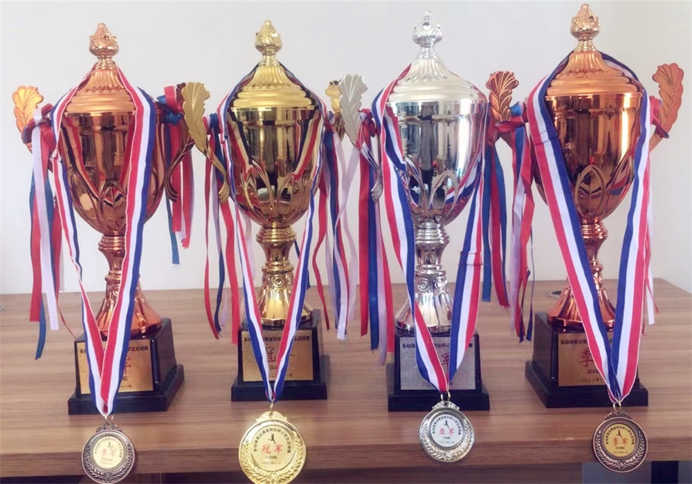 云南省昆明市第六届校园足球联赛,昆明市西山区芳草地国际学校