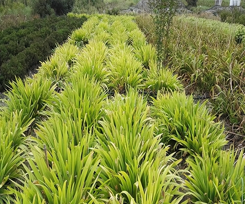 微咸水开发利用情况汇报,反渗透水处理数据分析