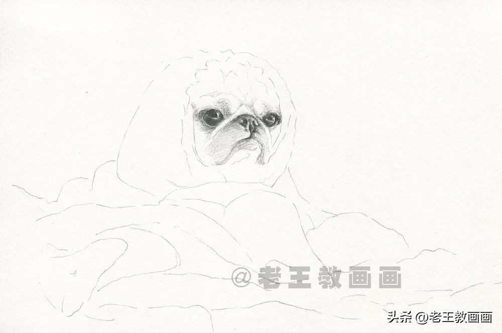 如何画不同的狗狗素描画图片,素描画小狗详细教程画得要逼真