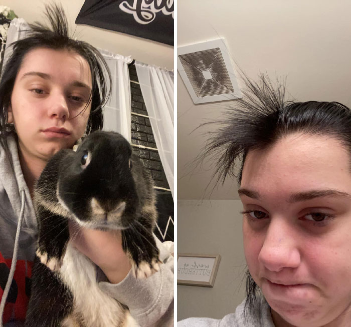 兔兔超可爱的真人照片,兔兔超可爱露脸照片