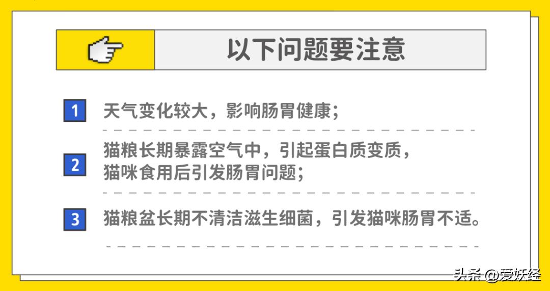 吃瓜！吃完素力高猫粮猫主子呕吐、拉稀？老狐狸实锤来了！