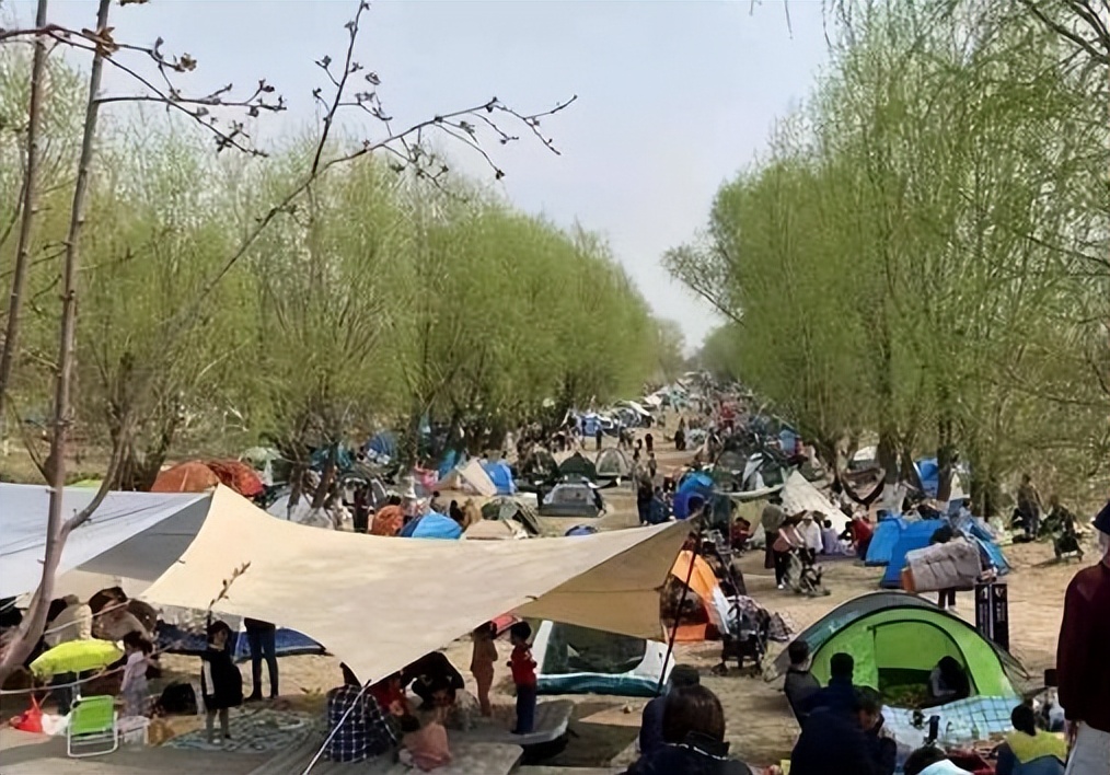 一年爆卖50万件，挪客如何在欧美火出圈？|案例分析