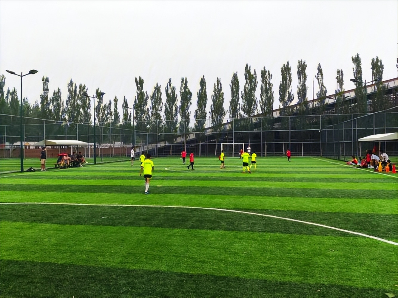 为什么足球这么流行,足球和篮球哪个在中国更流行