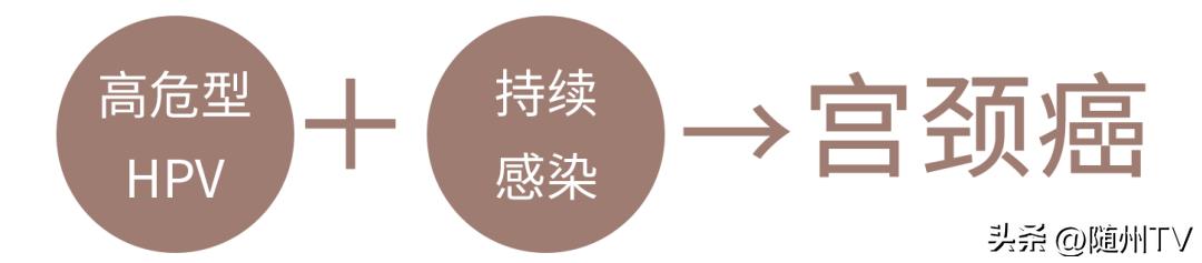 35—64岁妇女领福利啦！16万人可享受