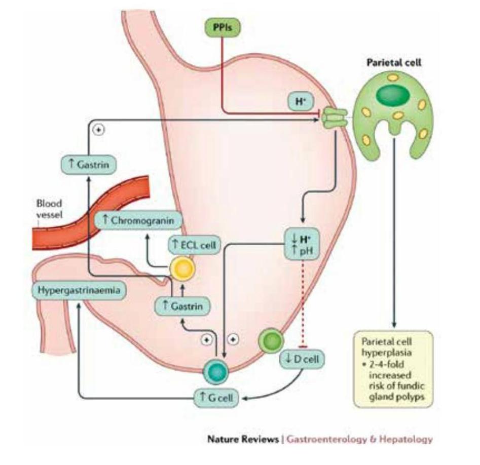 专栏|知名投资专家柳达：化学药的开发有无范式？
