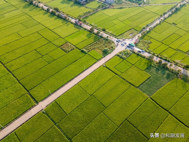 农业人口老龄化对农地配置与种粮决策的影响