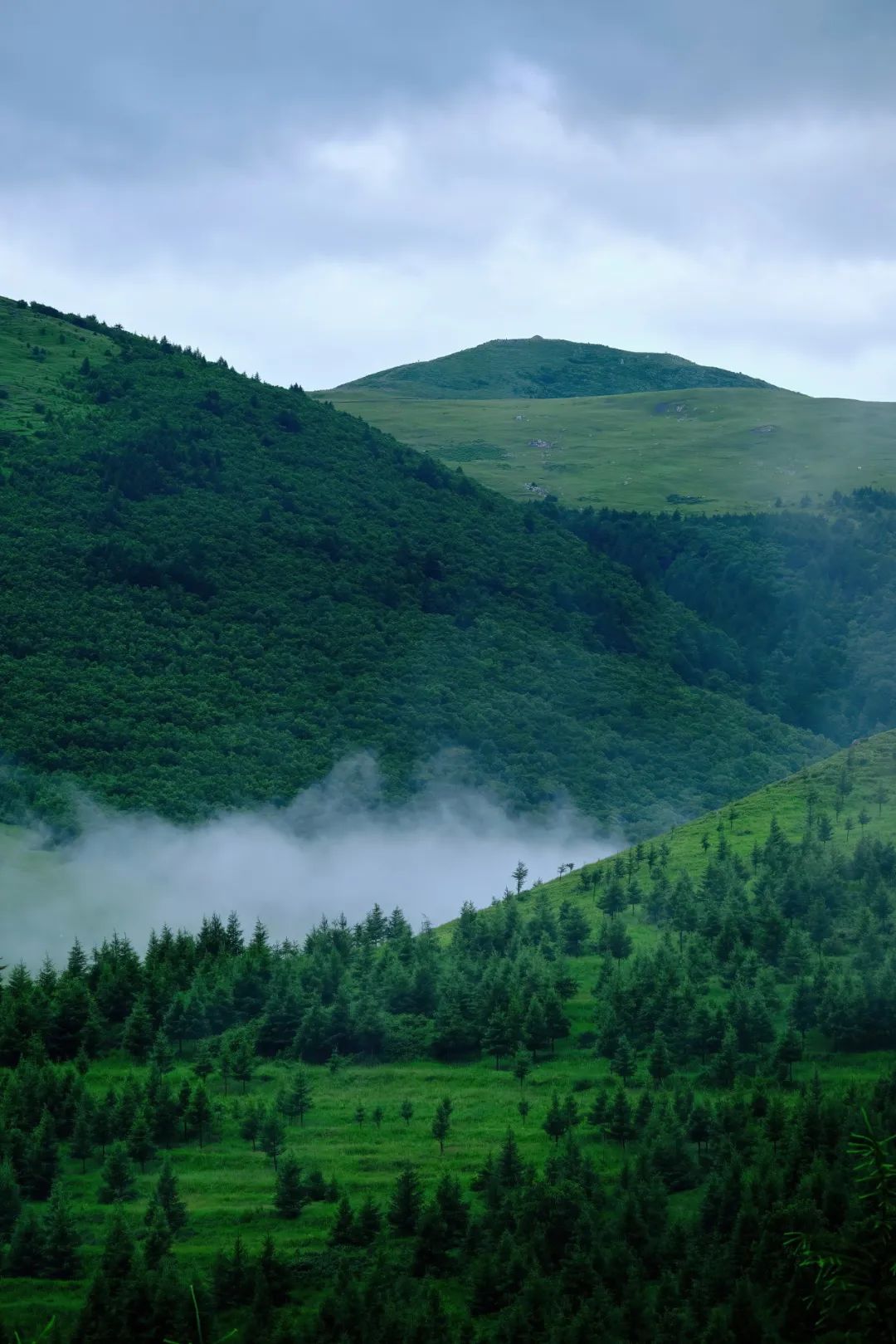 对北京还有哪些了解,了解过真正的北京吗
