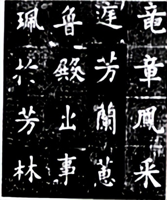 备战2023届中考语文复习过关练：专题03字形（含解析）