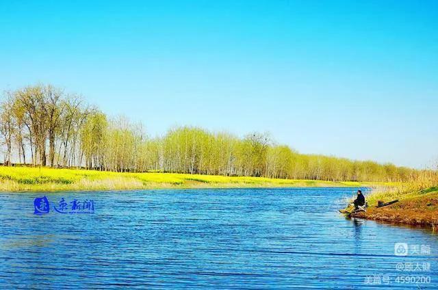 顾太健最新文章,顾太健视频