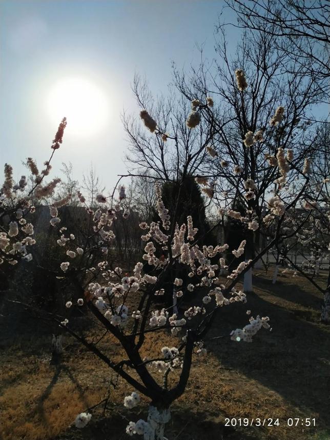 美丽校园行-2|历史生眼中的天津师范大学主校区