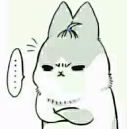 2019款光冈女王二手,日本光冈女王二手车