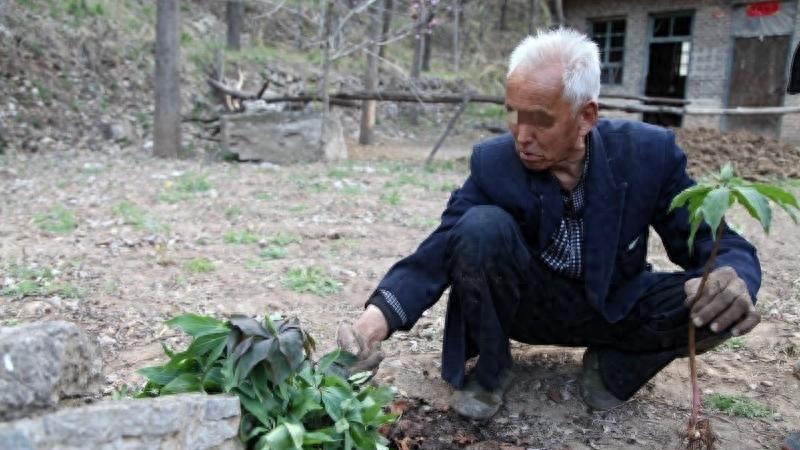 退休必读,退休后必读的中国书