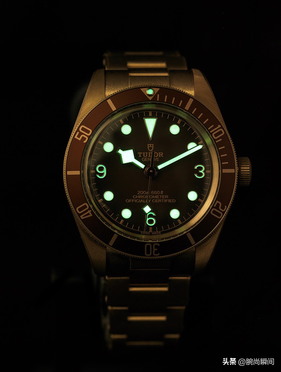 帝舵碧湾青铜型测评,帝舵碧湾54测评