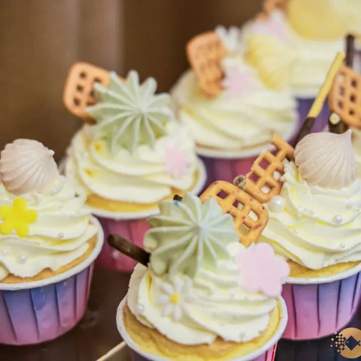 金鱼嘴机构日软银中国资本·医疗健康专场活动圆满落幕