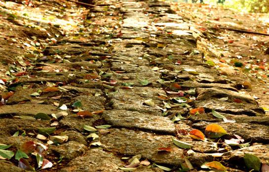 丝绸之路对中外交流起到什么作用,丝绸之路在中外交流中的作用