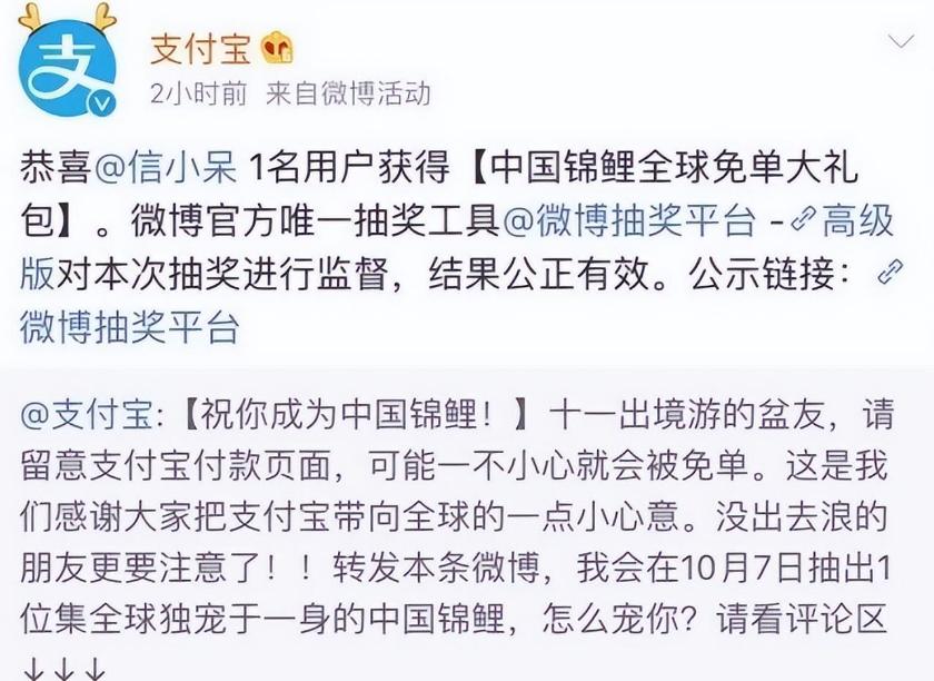 支付宝锦鲤信小呆怎么样了,2018支付宝年度锦鲤信小呆