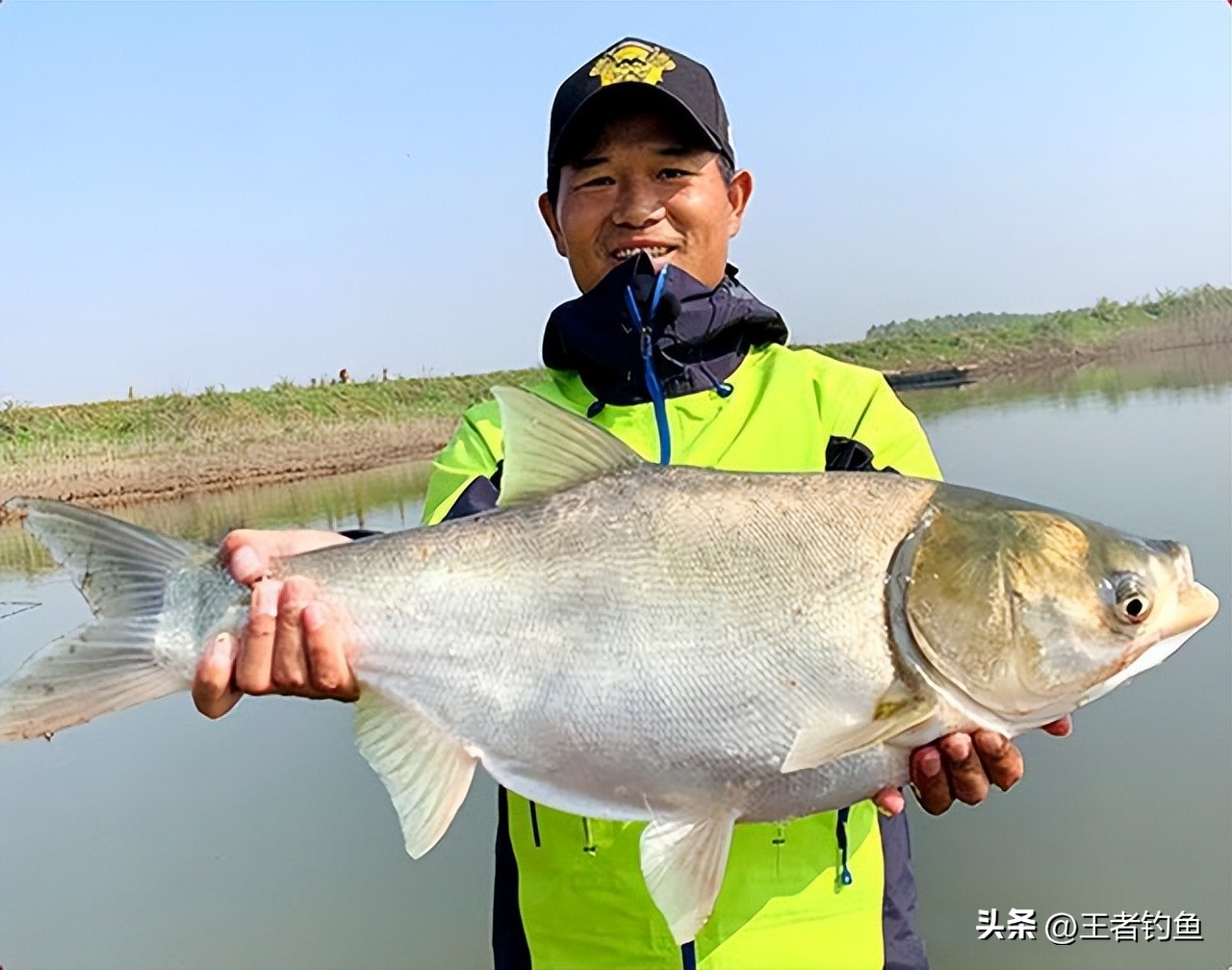 钓鱼界大咖邓刚现身万峰湖野钓赛,邓刚最多一次钓多少斤鱼