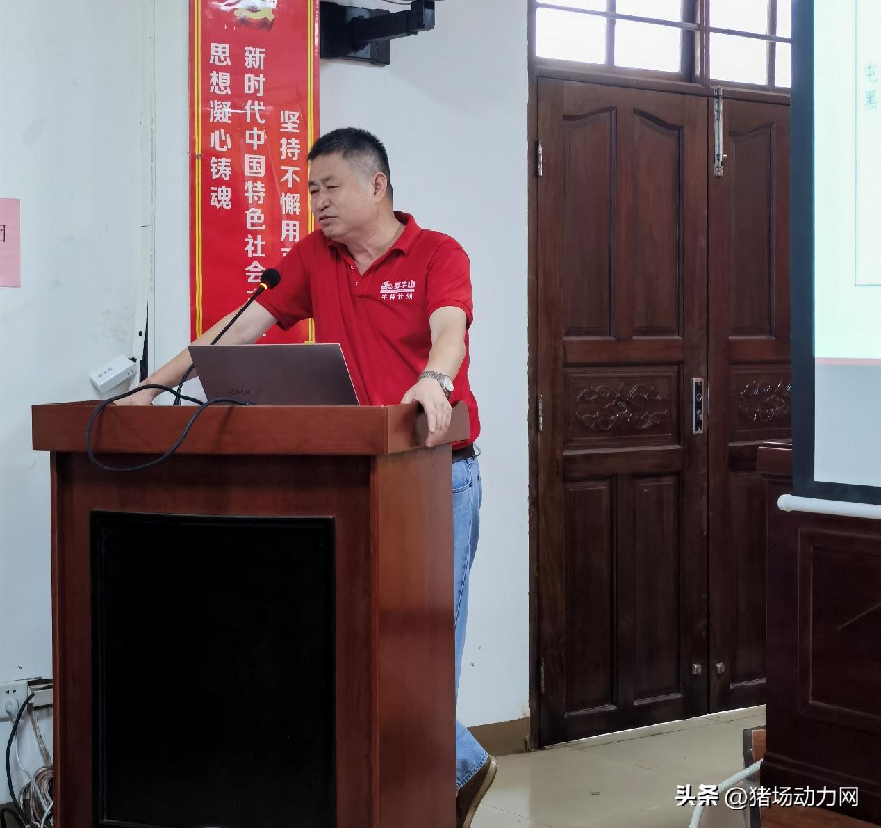 海南现代化黑猪养殖,海南黑猪饲养成本