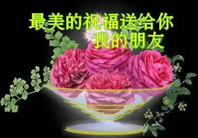 庚子日柱2023年癸卯年运势,癸卯年2023年哪个月出生最好