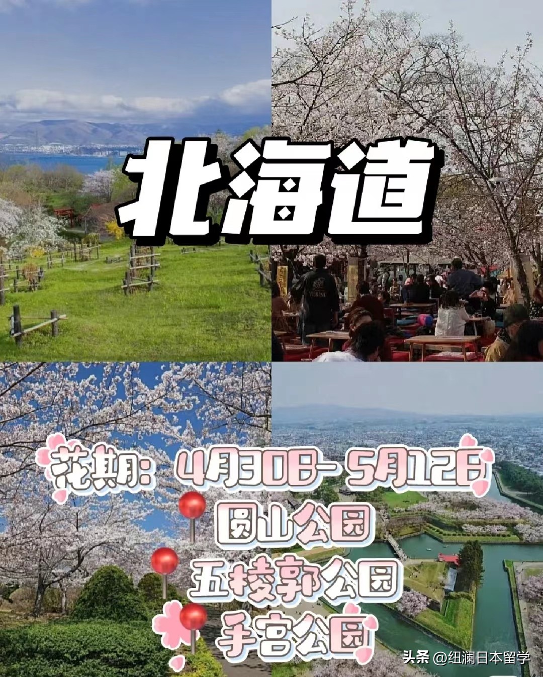 日本最晚赏樱的地方在哪里,日本的赏樱胜地包含哪些