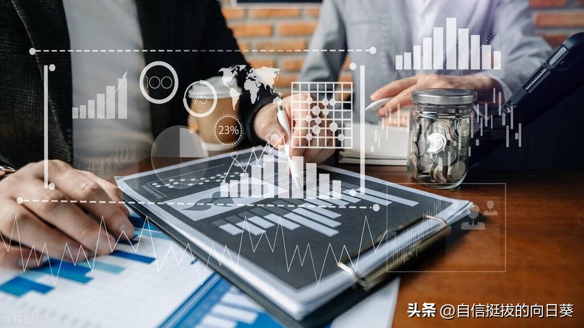 经营指标分析怎么写,经营管理指标分析