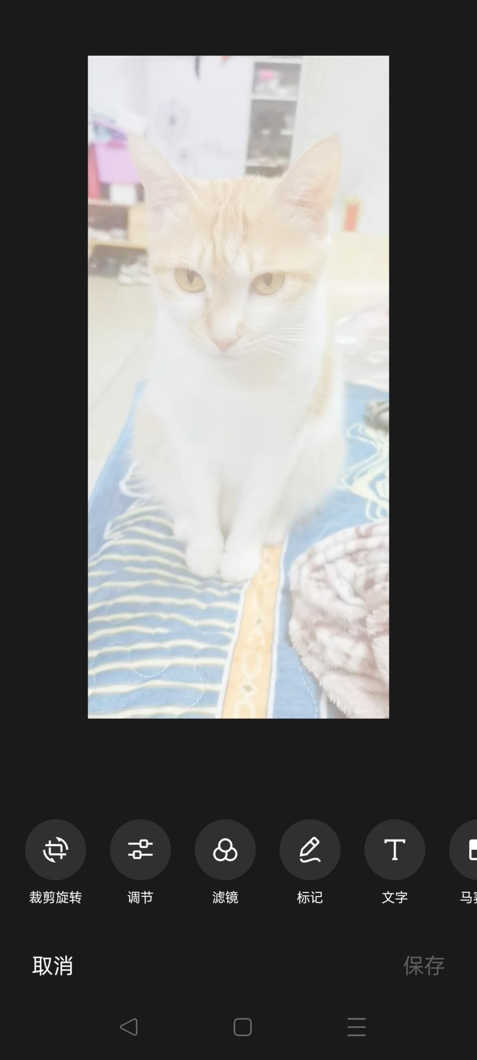 今日份安利全集播放,今日份安利电影