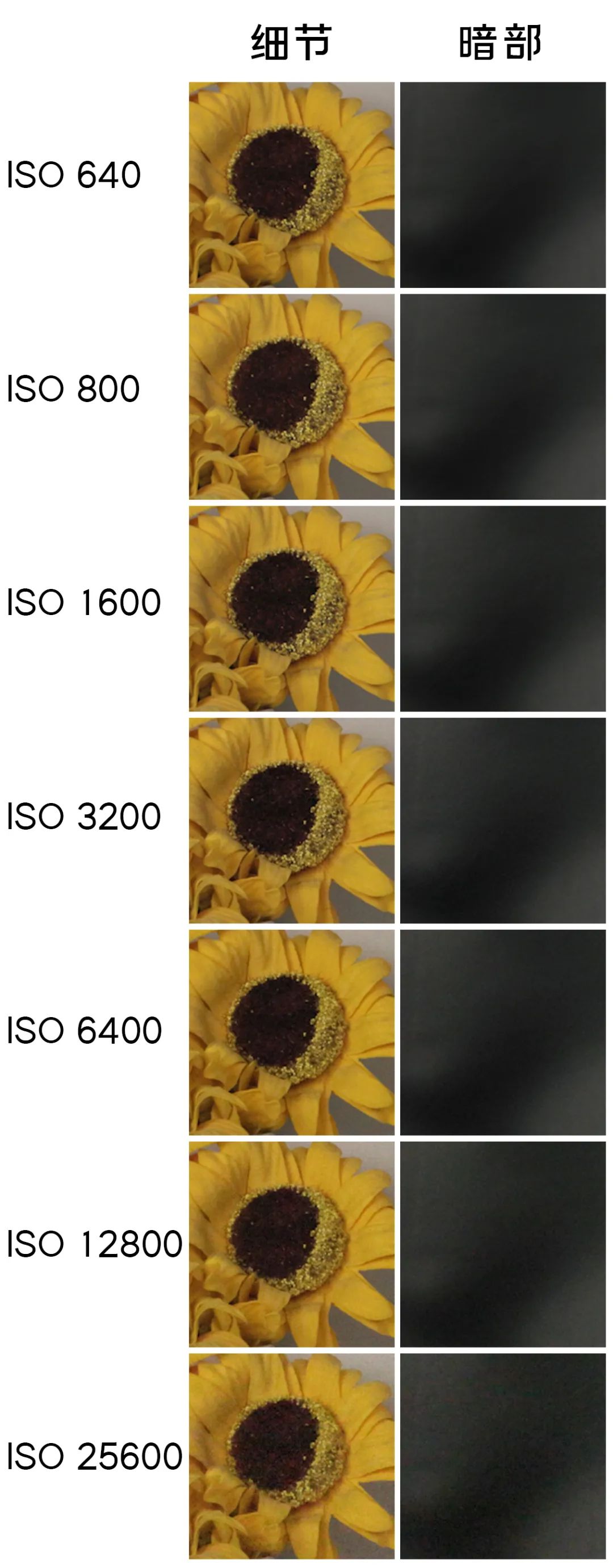 佳能eosr5c被曝,佳能eosr5c最新消息