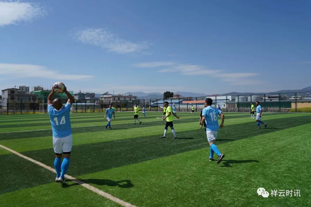 祥云:绿茵盛开团结花