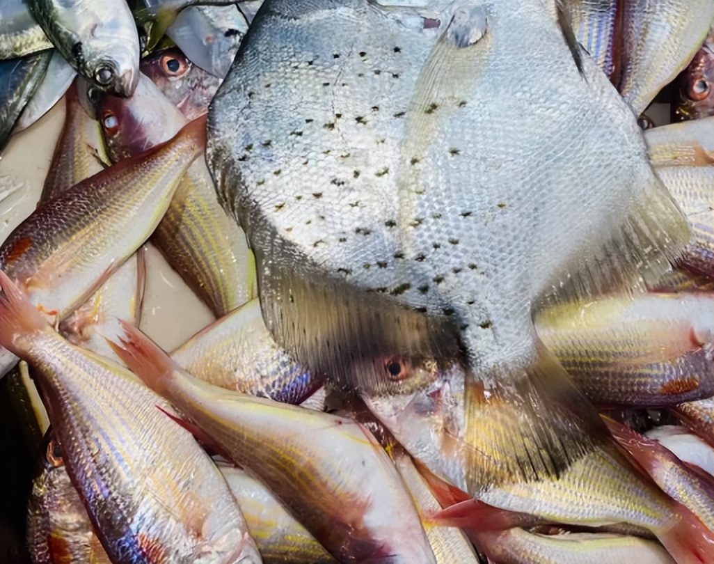 尸体药水泡海鲜，“色素”鸡蛋再现，315未曝光的菜场内幕太吓人