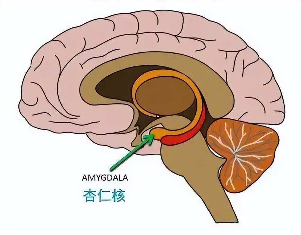 什么道理都懂可就是不愿意面对,什么道理都懂但总是发火大声哭
