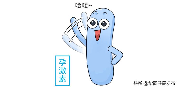 孕妈注意,孕早期预防流产这7个方面要注意