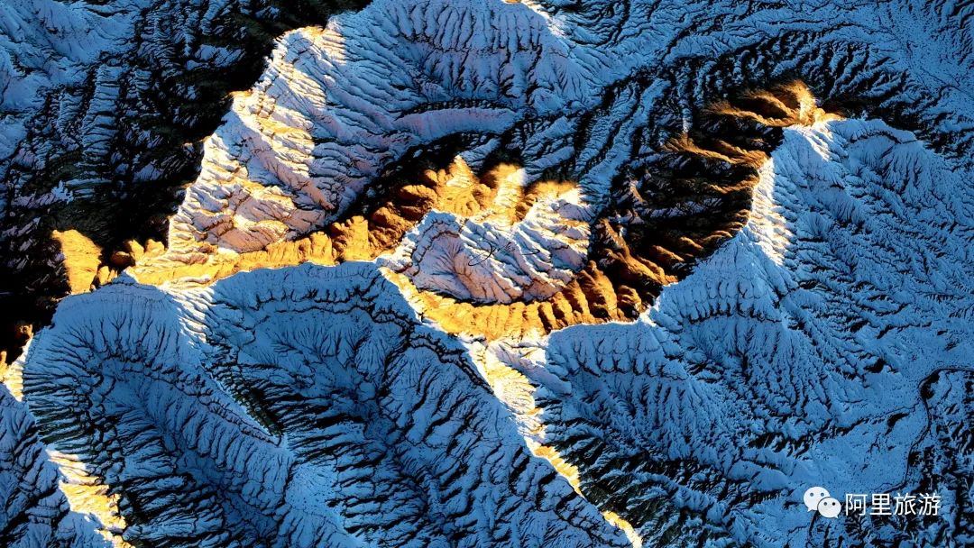 你永远可以相信迪丽热巴,你永远可以相信彝语的魅力