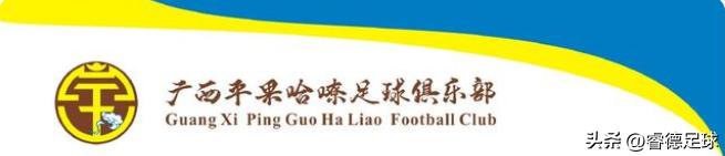 足协杯建业vs广西,河南对广西足协杯