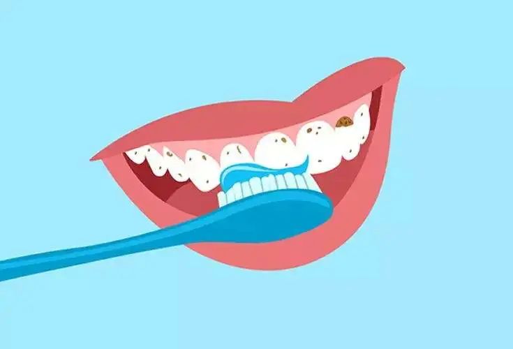 口腔菌群是什么,口腔微生物的世界