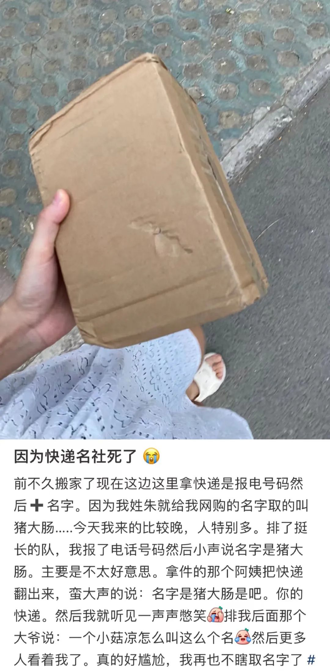快递已被狗签收 (您的快递已被狗签收)