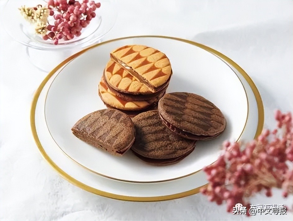 Shaddy甜蜜诱惑：体验美味与幸福，走进银座“THESWEETSGINZA”