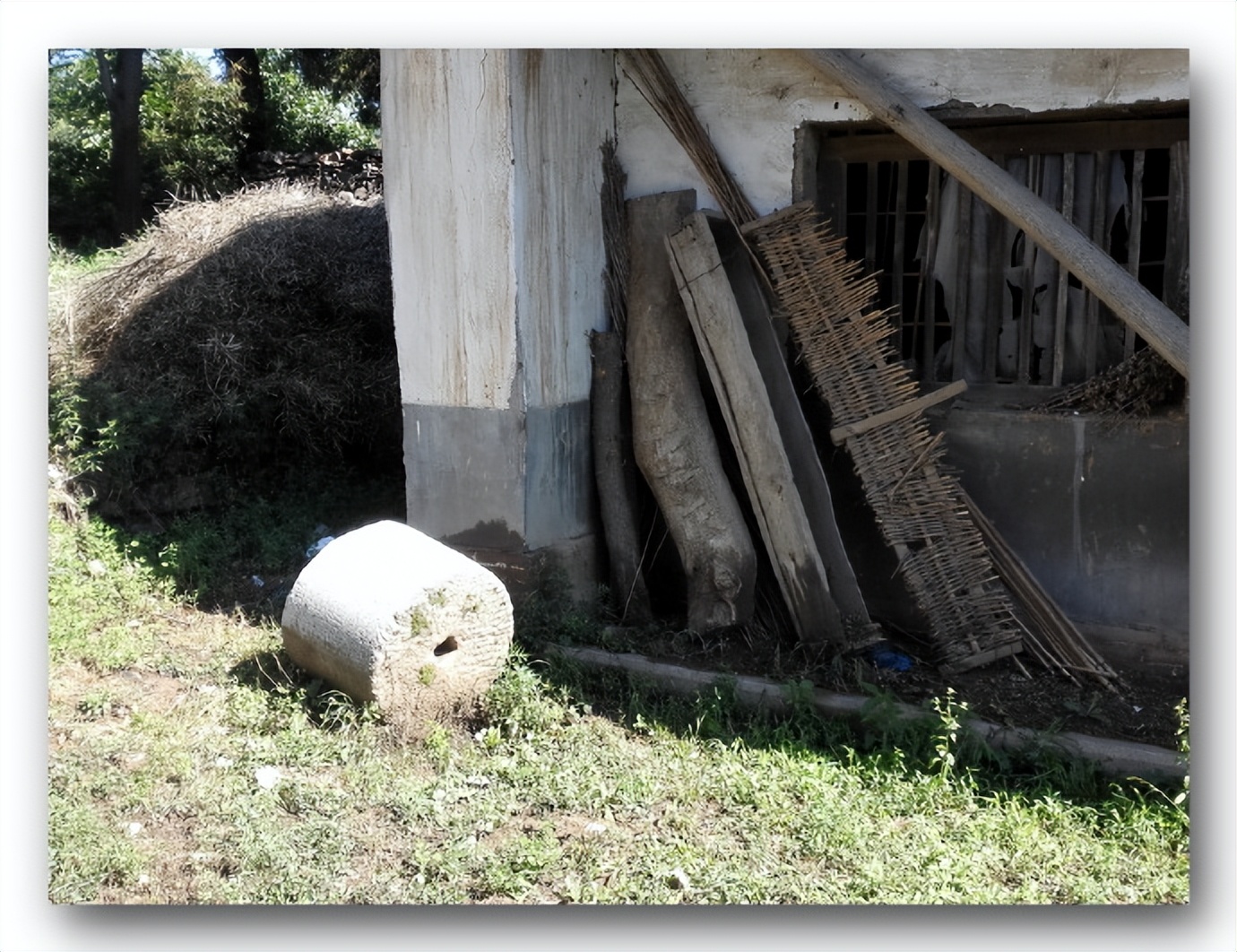 枫丹白露中国,探访中国最北漠河